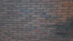+/_ 280 klinkers, 20x5x6 cm
Rood genuanceerd, Tuin en Terras, Tegels en Klinkers, Ophalen, Beton, Klinkers