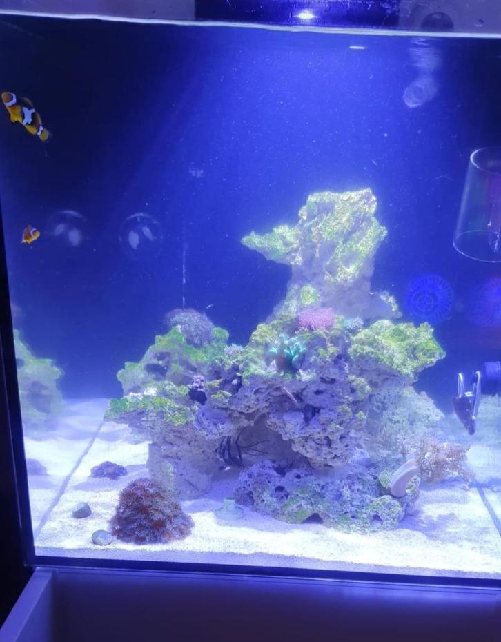 Compleet zee aquarium, Dieren en Toebehoren, Vissen | Aquaria en Toebehoren, Zo goed als nieuw, Leeg aquarium, Ophalen