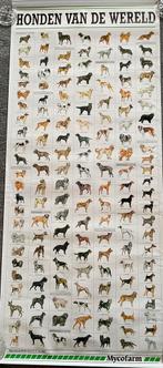 Honden van de Wereld poster, Verzamelen, Nieuw, Ophalen of Verzenden