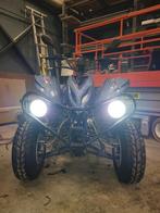 Seakia 300cc Quad -