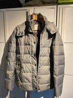 Esprit winterjas , maat 38, Maat 38/40 (M), Ophalen of Verzenden, Grijs, Gedragen