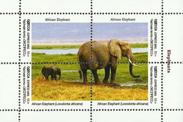 OLIFANTEN-ELEPHANTS = Mooi bl. v UKRAINE ODESSA-3010-10 beschikbaar voor biedingen