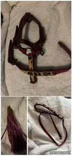 DWAM tuig en riem set, Verzenden, Zo goed als nieuw