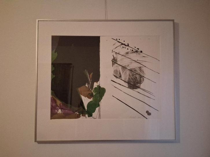 Ger Lataster , litho in uitstekende conditie in  Barth lijst, Antiek en Kunst, Kunst | Litho's en Zeefdrukken, Ophalen