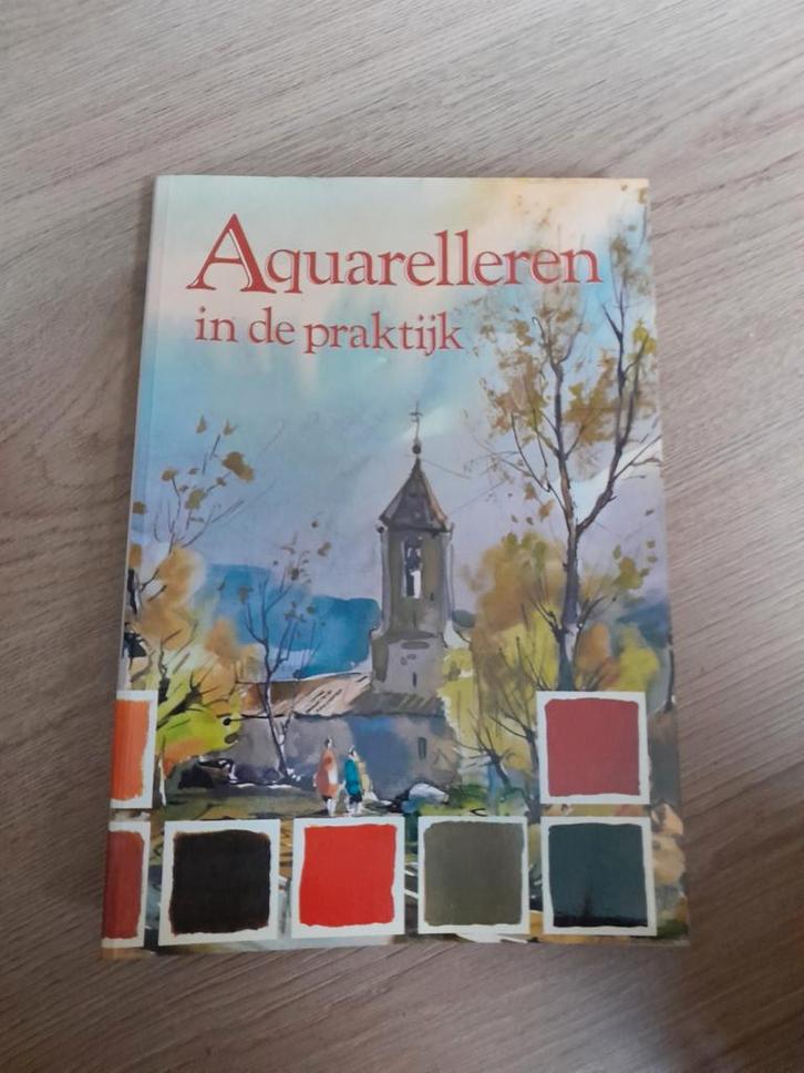 Aquarelleren in de Praktijk - Leer Aquarel Schilderen, Boeken, Kunst en Cultuur | Beeldend, Zo goed als nieuw, Schilder- en Tekenkunst