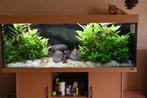 Aquarium Juwel Rio 450 Co2 LED EHeim Prof, Dieren en Toebehoren, Vissen | Aquaria en Toebehoren, Ophalen, Gebruikt, Gevuld zoetwateraquarium