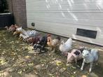 13 grote speeldieren van kunststof, Ophalen, Gebruikt