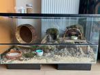 Terrarium met schuiframen, afneembare deksel (gaas) en extra, Minder dan 60 cm, Ophalen of Verzenden, 75 tot 110 cm, Zo goed als nieuw