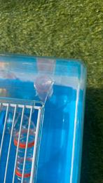 Hamster kooi ferplast, Kooi, Gebruikt, Minder dan 75 cm, Hamster