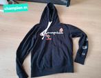 Zwarte hoody champion maat m opdruk Mario bross, Kleding | Heren, Truien en Vesten, Maat 48/50 (M), Zwart, Champion, Ophalen of Verzenden