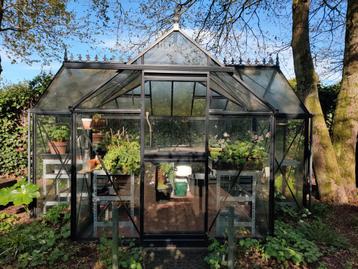 Janssens Junior Orangerie  beschikbaar voor biedingen