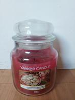 Grote Yankee Candle herfstige geur Peppermint Pinwheels, Ophalen of Verzenden
