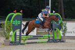 C pony,kwaliteit,aanpassingsvermogen,beginnerspony., Dieren en Toebehoren, Pony's, Gechipt, Ruin, Springpony, 3 tot 6 jaar