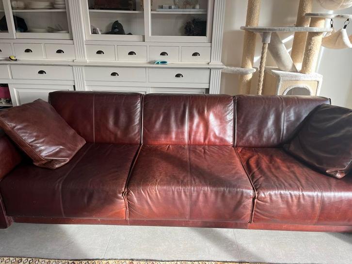 Machalke Lederen Bank - Beschadigd, Huis en Inrichting, Banken | Bankstellen, Gebruikt, Rechte bank, Vierpersoons of meer, 250 tot 300 cm