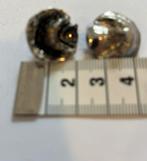 Vintage Metalen knoop zilverkleurig –  22 mm, Ophalen of Verzenden, Nieuw, Knoop of Knopen