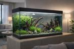 200 Liter aquarium!, Ophalen, Zo goed als nieuw, Leeg aquarium