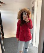 rode airforce jas maat s, Kleding | Dames, Jassen | Winter, Airforce, Ophalen of Verzenden, Maat 36 (S), Gedragen