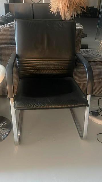 Mooie lederen feautuille beschikbaar voor biedingen