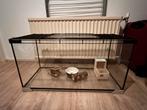 Hamster hok terrarium 80x35cm, Dieren en Toebehoren, Zo goed als nieuw, 75 tot 110 cm, Ophalen, Minder dan 60 cm