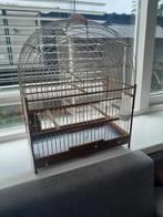 Surinaamse zangkooi, Dieren en Toebehoren, Ophalen of Verzenden, Zo goed als nieuw, Vogelkooi