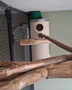 PVC broedblok met camera, Dieren en Toebehoren, Meerdere dieren