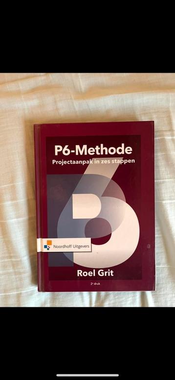 Roel Grit - Projectaanpak in zes stappen beschikbaar voor biedingen