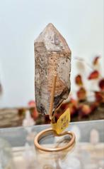 Red Scarlet Lemurian 01, Verzenden