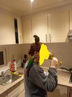 pyrrhura paar, Dieren en Toebehoren, Ophalen, Vogelkooi