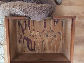  Bed/mand voor hond of poes.  beschikbaar voor biedingen