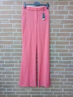 Nieuw met kaartjes Joseph broek, Kleding | Dames, Nieuw, Ophalen of Verzenden, Joseph, Roze