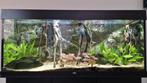 Juwel Rio 240 met meubel, extern filter en LED lamp, Dieren en Toebehoren, Ophalen, Gebruikt, Gevuld zoetwateraquarium