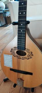 Elektrische bouzouki mandoline, Ophalen of Verzenden, Zo goed als nieuw