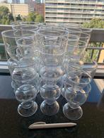 plastic ijscoups, Overige materialen, Overige typen, Nieuw, Ophalen of Verzenden