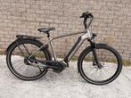 Dutch id Falcon - Bosch CX - Enviolo - CDX Riem - 625Wh, Ophalen of Verzenden, Gebruikt, Overige merken