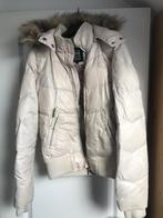 Ski Jack April evil maat M, Kleding | Dames, Ophalen of Verzenden, Zo goed als nieuw, Maat 38/40 (M), Jack