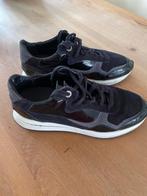 Floris van Bommel schoenen maat 40, Zwart, Ophalen of Verzenden, Sneakers of Gympen, Zo goed als nieuw