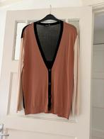 Vestje Sissy Boy maat M, Kleding | Dames, Ophalen of Verzenden, Gedragen, Maat 38/40 (M), Overige kleuren