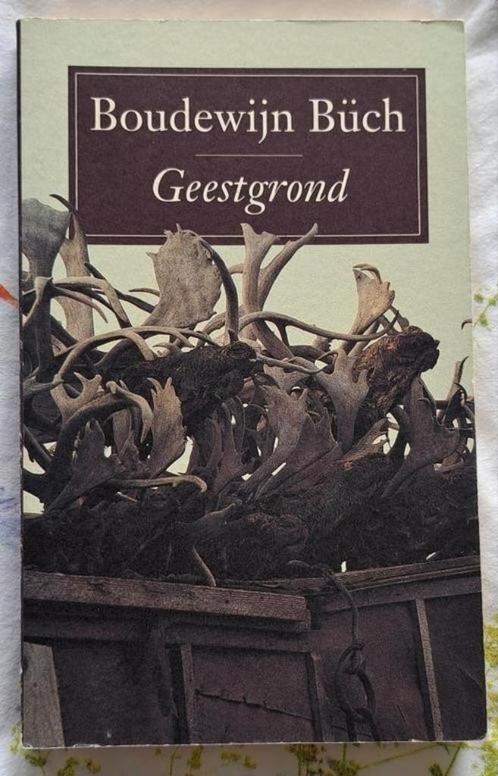 Geestgrond door Boudewijn Büch, Boeken, Literatuur, Zo goed als nieuw, Nederland, Ophalen of Verzenden
