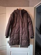 Dames winterjas human nature, Kleding | Dames, Jassen | Winter, Maat 42/44 (L), Ophalen of Verzenden, Zo goed als nieuw, Human Nature