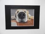 Realistische Tekening van een Hond, Ophalen of Verzenden