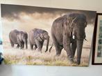 Olifanten Poster, Ophalen of Verzenden