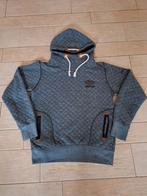 Mooie trui / hoodie van GABBIANO, Ophalen of Verzenden, Grijs, Gabbiano
