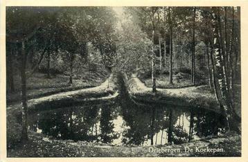 (388-392-029) Driebergen-Rijsenburg De Koekepan beschikbaar voor biedingen