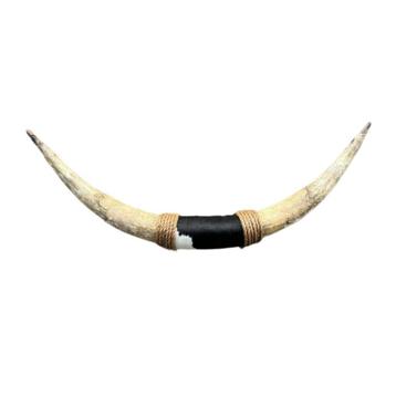 Bullbar Texas Longhorn met leer beschikbaar voor biedingen