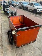 Elektrische big babboe hond en kind, Fietsen en Brommers, Fietsen | Bakfietsen, Ophalen, Zo goed als nieuw, 2 kinderen