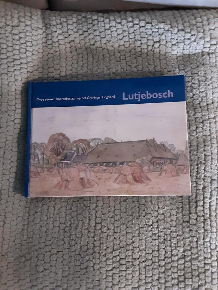 Cornelia Petronella Bos---Lutjebosch, Boeken, Geschiedenis | Stad en Regio, Zo goed als nieuw, Ophalen of Verzenden