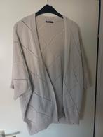 Raglan vest, ajour, beige/crème. Een maat., Verzenden, Zo goed als nieuw, Beige