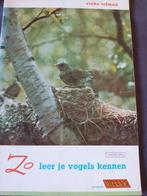 boekje : Zo leer je vogels kennen deel 2, Boeken, Gelezen, Ophalen of Verzenden, Rinke Tolman, Plaatjesalbum