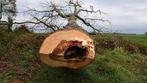 Bomen zagen, Tuin en Terras, Haardhout, Ophalen of Verzenden, Overige houtsoorten