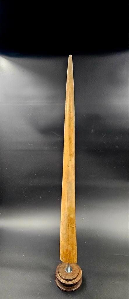 Zwaardvis tand Xiphias gladius rostrum op klos uit India, Verzamelen, Dierenverzamelingen, Gewei of Kop, Overige soorten, Ophalen of Verzenden